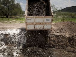 A los pescadores de la zona de la presa se les ha impedido tomar, comer o comercializar cualquier pez que habllen en la presa. EL INFORMADOR /