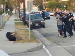 Policía de Hawthorne, justificó el acto pues se trató de una situación que podía haber sido peligrosa, según dice. ESPECIAL /