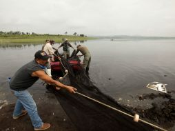 Un derrame de melaza causó la muerte a cientos de miles de peces de la Presa del Hurtado.  /