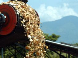 La firma maderera invertirá en México ya que desea incluirse en otros mercados. ARCHIVO /