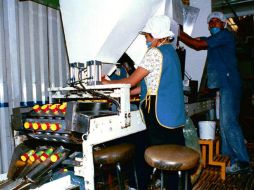 Indican que los puestos de trabajo más afectados por accidentes, según estadísticas, son los que se dedican a la producción. ARCHIVO /