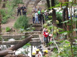 Al lugar acudieron Bomberos de Guadalajara para sacar el cuerpo.  /