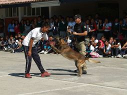 La Secretaría de Gobierno establece que se priorizará la prevención en el tratamiento de la violencia y la delincuencia. ARCHIVO /