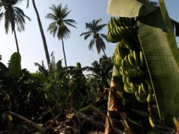 Explican que existen necesidades en varios municipio que fueron afectados en  2011 por el fenómeno meteorológico.  /