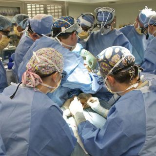 Niña con pulmón trasplantado padece neumonía