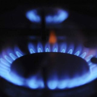 Aprovecharán la paja del estiércol para generar biogás