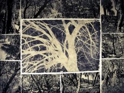 Entre las obras expuestas, hay serigrafías, litografías, aguatintas y fotografías. EFE /