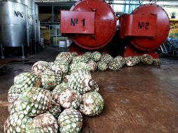 Se proyecta que participen 20 empresas tequileras para competir en el mercado internacional.  /