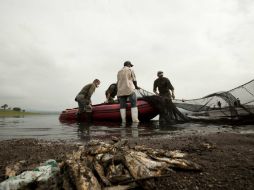 Del Toro recuerda que desde el 21 de junio se había avisado a la Procuraduría Federal de Protección al Medio Ambiente del problema. ARCHIVO /