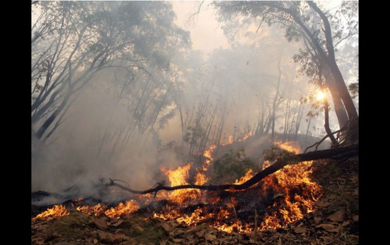 El sistema mecatrónico puede rastrear incendios mediante la aplicación de técnicas de visión artificial y sensores. ARCHIVO /