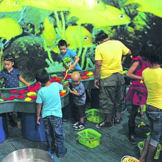 El verano como Trompo Mágico