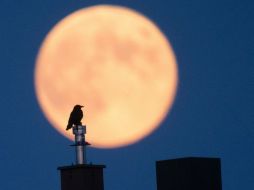 Para muchas culturas la luna simboliza el inicio de un período de energía. ARCHIVO /