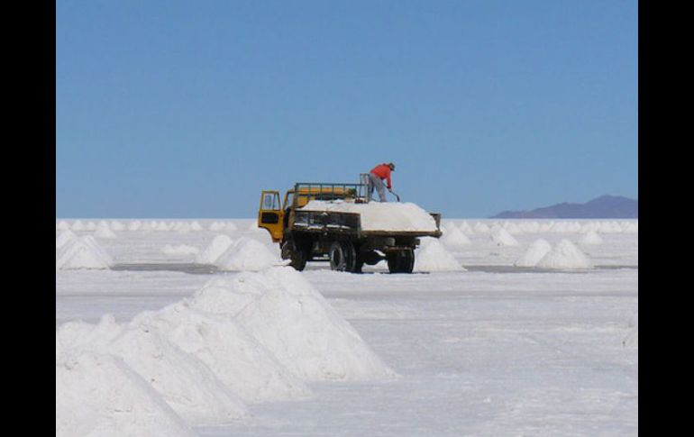 Debido a la concentración de sal, el ambiente donde crece la bacteria  favorece la fabricación del PHB. ESPECIAL /