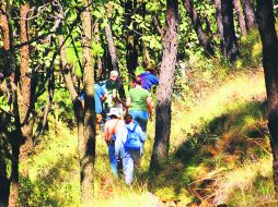 Protección. Dejemos tras de nosotros este hermoso bosque intacto. ESPECIAL /