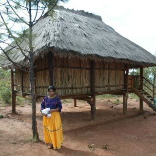 Políticos piden estudiar decreto sobre zona protegida de Wirikuta