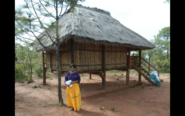 Las oportunidades económicas para los habitantes de la reserva se ven privadas por la mala legislación de las autoridades. ARCHIVO /