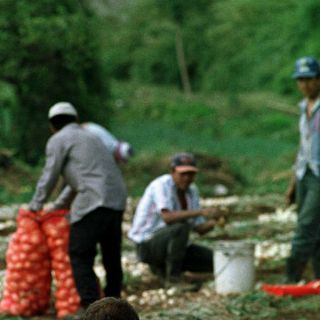''Jalisco a futuro'' impulsa acciones ambientales, afirman