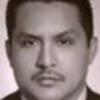 La Segob confirma detención del ''Z-40''