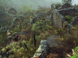 Es uno de los lugares más impresionante, por su extensión y porque sus estructuras se han conservado en pie: Di Cosimo. ESPECIAL /