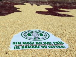 En México se han dando más de 257 mil permisos para el cultivo de maíz transgénico. ARCHIVO /