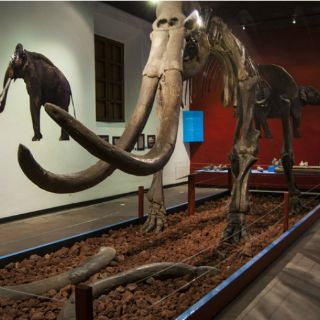 Funcionarios del Museo Regional callan ante intento de robo