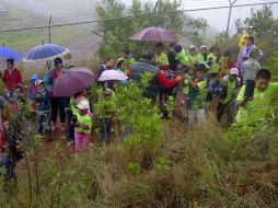 Pese a las inclemencias de esta mañana, adultos, jóvenes y niños se reúnen para reforestar el cerro El Tesoro.  /