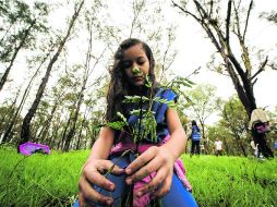 La asociación Extra pretende que Jalisco sea el Estado más arbolado del país.  /