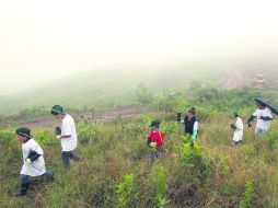 Cerro del Tesoro. La asociación civil Extra encabezó ayer una jornada de reforestación en esta zona, junto al Santuario de los Mártires EL INFORMADOR /