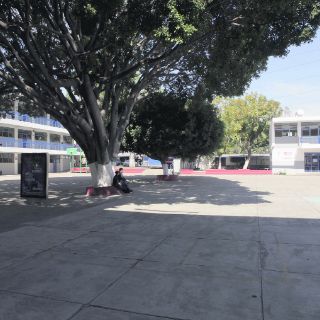 El desarrollo está en la infraestructura