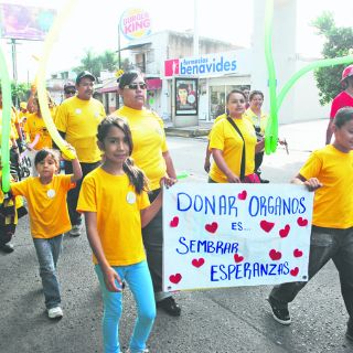 Piden garantizar prioridad de los niños en trasplantes de órganos