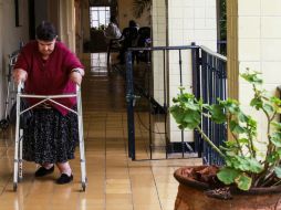 El Instituto planea talleres y cursos para la sociedad en general, así como funcionarios, para la atención a población de tercera edad  /