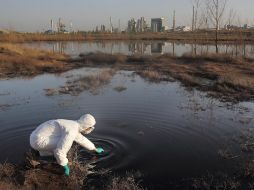 Un integrante de Greenpeace extrae muestras de agua altamente contaminada cerca de las instalaciones de propiedad estatal. AFP /