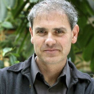 Bosques tropicales absorberán menos CO2