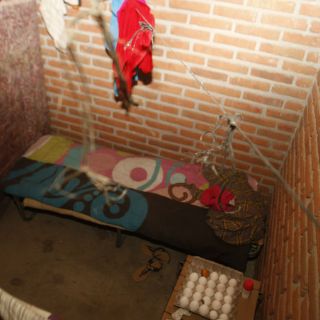 Rescatan a familiares de jornaleros