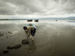 El porcentaje de almacenamiento del vaso lacustre es del 38.12% de su capacidad total.  /