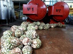 Por cada litro de tequila resultan en promedio 10 de vinaza -residuos de la destilación-. ARCHIVO /