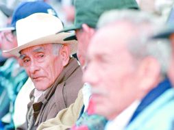 El sistema de pensiones resulta insuficiente y obliga a personas mayores de 60 años a seguir trabajando. ARCHIVO /