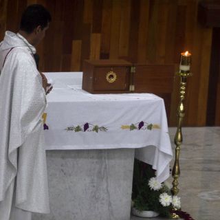 ''Hostia sangrante'', revelación privada: sacerdote