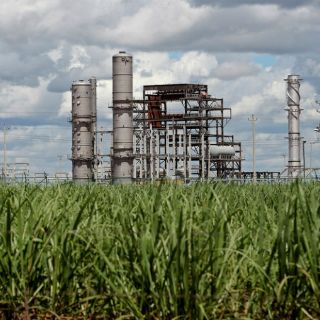 México incursionará en producción de etanol