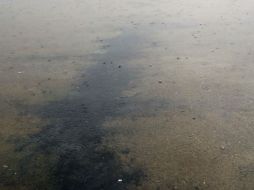 Las autoridades manejan una cifra de una tonelada de oro negro vertido, sin embargo, aún no hay una confirmación al respecto. ARCHIVO /