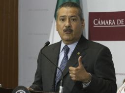 El legislador priista dijo que analizarán las reformas financiera, energética y hacendaria. ARCHIVO /