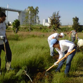 Avanza declaratoria de área natural protegida de Colomos III