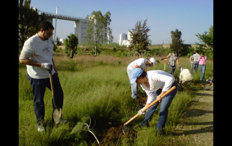 Por décimo domingo, un grupo de ciudadanos se juntó para reforestar el predio.  /