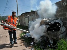 La insufiencia en la fumigación contra el mosquito del dengue ha favorecido que crezca esta epidemia en Honduras. AFP /