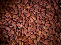 El aromático cacao puede ser un gran vendedor en las librerías. ARCHIVO /