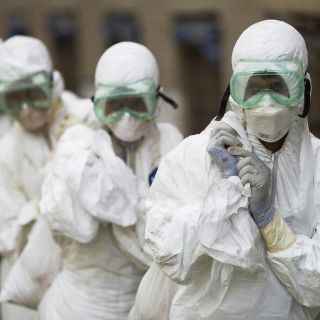 Nepal prohíbe ventas de pollo por gripe aviar