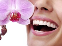 De igual manera, se necesita un adecuado aseo buco dental que inlcluya cepillado después de cada comida. ARCHIVO /