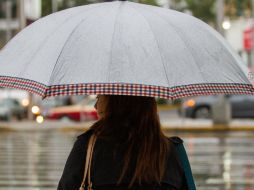 El aeropuerto capitalino indica que los usuarios pueden consultar información sobre vuelos en su página de internet. ARCHIVO /
