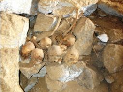 Algunos de los cráneos encontrados en la cueva La Sepultura, municipio de Tula, en Tamaulipas. EFE /