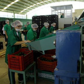 Apoyarán Sedeco y CEPE a micro y pequeñas empresas